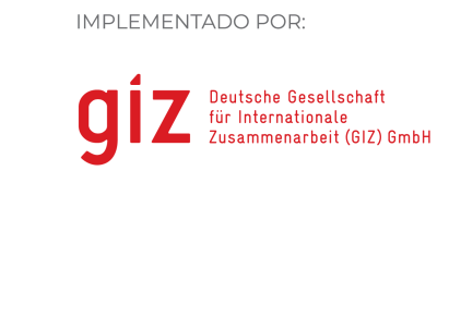 Logo GIZ 
