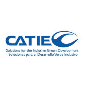 Logo CATIE 