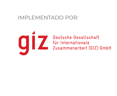 Logo GIZ 